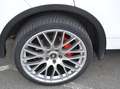 Porsche Cayenne Cayenne S Diesel*AUTOMATIK*NAVI*LEDER*XENON*GSD* Noir - thumbnail 14