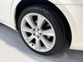 Mercedes-Benz CLS 320 320CDI Aut. Wit - thumbnail 10