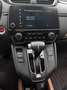 Honda CR-V 1.5T 193 CV AUTOMATICA-4X4-NAVI-TETTO AP.-PELLE Grigio - thumbnail 15