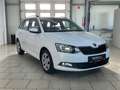 Skoda Fabia Combi 1.4 TDI Ambition Freisprech PDC Weiß - thumbnail 8