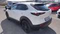 Mazda CX-30 e-Skyactive G140 Nagisa Weiß - thumbnail 4