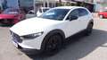 Mazda CX-30 e-Skyactive G140 Nagisa Weiß - thumbnail 1