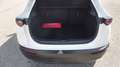 Mazda CX-30 e-Skyactive G140 Nagisa Weiß - thumbnail 16