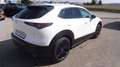 Mazda CX-30 e-Skyactive G140 Nagisa Weiß - thumbnail 3