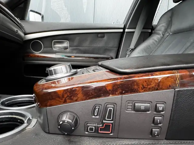 BMW 7 Series view 19