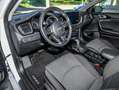 Kia Ceed / cee'd Ceed Sportswagon Vision DAB Navi Rückfahrkamera Kl Weiß - thumbnail 5