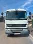DAF Sonstige LF45.160 Weiß - thumbnail 8