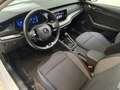Skoda Octavia Combi 1.5 TSI Ambition SHZ PDC Climatronic Weiß - thumbnail 11