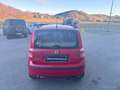 Fiat Panda 1.2 Emotion Ok neopatentati Rot - thumbnail 6