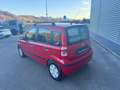 Fiat Panda 1.2 Emotion Ok neopatentati Rot - thumbnail 7