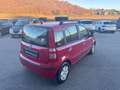 Fiat Panda 1.2 Emotion Ok neopatentati Rot - thumbnail 5