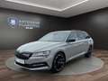 Skoda Superb C. 1.4 TSI iV Sportline NAVI*AHK*STANDH. Klima Gris - thumbnail 1