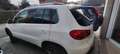 Volkswagen Tiguan 2.0 tdi Sport Bianco - thumbnail 2