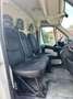 Citroen Jumper 500(2007) Bianco - thumbnail 10