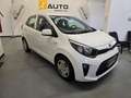 Kia Picanto Picanto III 1.0 mpi Style 4p ti my20 Bianco - thumbnail 2