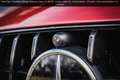 Mercedes-Benz AMG GT 63 4M+ Coupe Carbon Exterior + Performance Seats Rojo - thumbnail 26