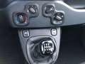 Fiat Panda MY24 1.0 Klima PDC Citypaket Schwarz - thumbnail 13