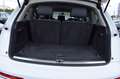 Audi Q7 3.0 V6 TDI 245CH  AMBITION LUXE QUATTRO TIPTRONIC 7 PLACES Blanc - thumbnail 12