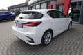 Lexus CT 200h Hybrid Executive Blanc - thumbnail 8