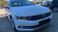 Volkswagen Passat Variant Passat Variant Comfortline  EcoFuel Comfortline Weiß - thumbnail 12