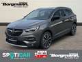 Opel Grandland X Ultimate 1.6 Turbo LED - Navi - Leder - Sitzheizun Gris - thumbnail 1