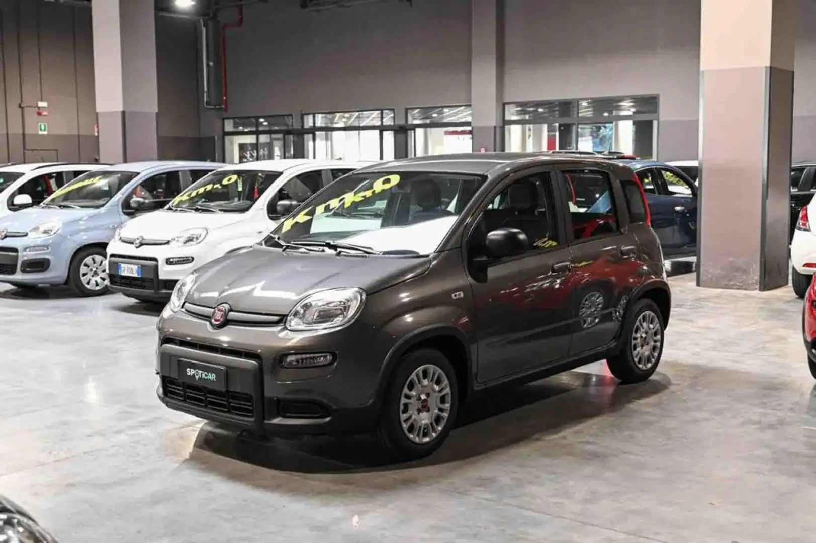 Fiat Panda Hybrid 1.0 70cv MY23 Gris - 1