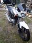 Yamaha YBR 125 Bianco - thumbnail 1