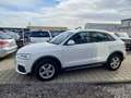 Audi Q3 2,0 TDI Intense quattro S-tronic Erster Besitz Weiß - thumbnail 5