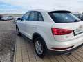 Audi Q3 2,0 TDI Intense quattro S-tronic Erster Besitz Weiß - thumbnail 6