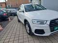 Audi Q3 2,0 TDI Intense quattro S-tronic Erster Besitz Weiß - thumbnail 2