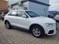 Audi Q3 2,0 TDI Intense quattro S-tronic Erster Besitz Weiß - thumbnail 1