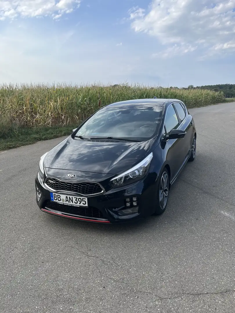 Kia Ceed / cee'd GT-Track - inkl. zweiter Satz Felgen - HU Neu Negro - 1