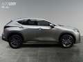 Lexus NX 350h NX 350 h 350h Executive AWD +Sitzbelüftung+Leder+ Silber - thumbnail 7