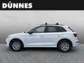 Audi Q5 Diesel 50 TDI quattro tiptronic sport Weiß - thumbnail 6