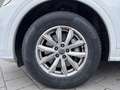 Audi Q5 Diesel 50 TDI quattro tiptronic sport Weiß - thumbnail 9