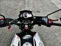 Benelli BN 251 Sport - thumbnail 5
