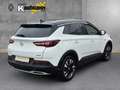 Opel Grandland INNOVATION Navi Leder LED Dyn. Kurvenlicht El. Hec Bianco - thumbnail 5