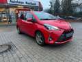 Toyota Yaris 1,5-Dual-VVT-iE Y20 Club Rot - thumbnail 4