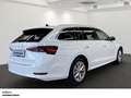 Skoda Octavia Combi Style 2.0 TDI DSG - AHK DAB div. Anhängerkup Weiß - thumbnail 4