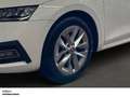 Skoda Octavia Combi Style 2.0 TDI DSG - AHK DAB div. Anhängerkup Weiß - thumbnail 9