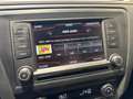 SEAT Toledo 1.4 TSI DSG Style AHK|SHZ Beige - thumbnail 14
