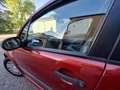 Citroen C3 1.1 Perfect (elegance) c/abs - thumbnail 12