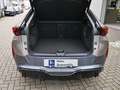 CUPRA Tavascan VZ 4Drive 250 kW 340PS Elektro Beige - thumbnail 14
