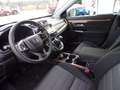 Honda CR-V 1.5 T 2WD Comfort Bílá - thumbnail 8