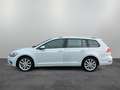 Volkswagen Golf Variant Comfortline 1.4 TSI/ LED, ACC, Navi Argent - thumbnail 5