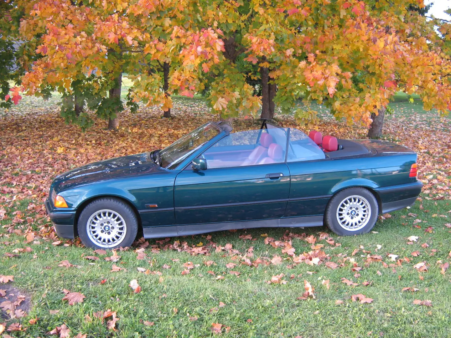 BMW 325 325i Grün - 1