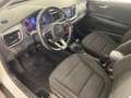 Kia Stonic 1.2 Silber 62 kW (84 PS), Schalt. 5-Gang Weiß - thumbnail 7