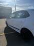 Volkswagen Polo Polo 4FRIENDS 1,2 TSI 4FRIENDS Weiß - thumbnail 7
