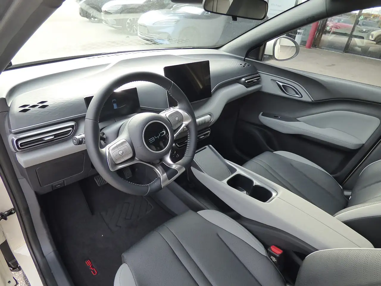 BYD DOLPHIN SURF