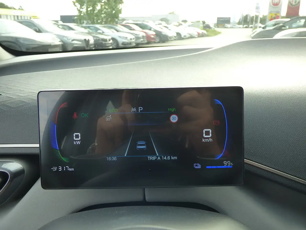 BYD DOLPHIN SURF
